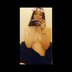 KinkyKatxx