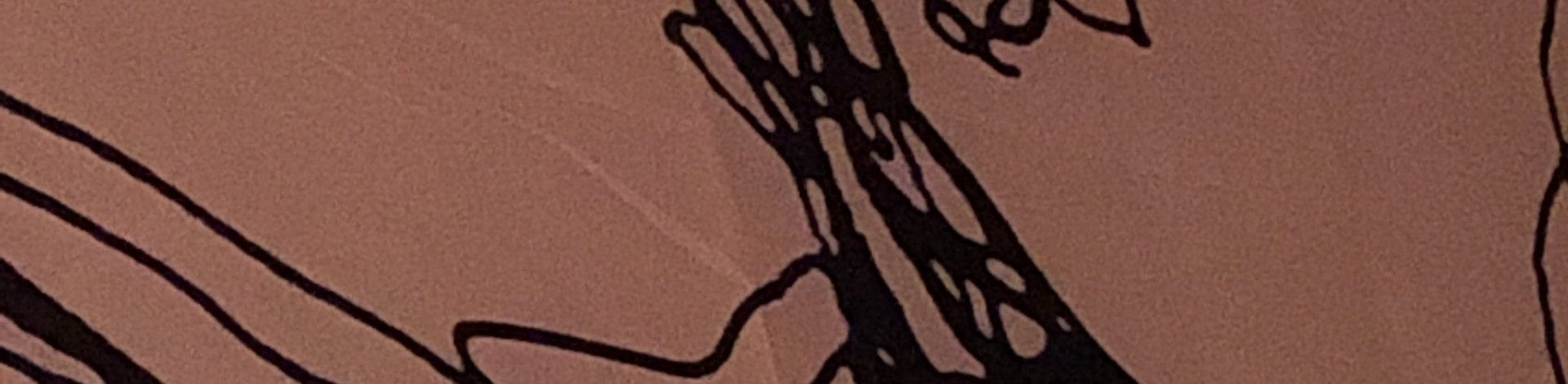 AdmireMe banner for @Ra